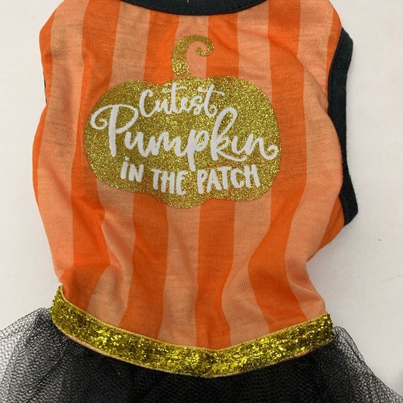 Cat  Dog Dress Costume  Halloween  Cutest Pumpkin In Patch Dress  Lot  2 - Picture 7 of 11